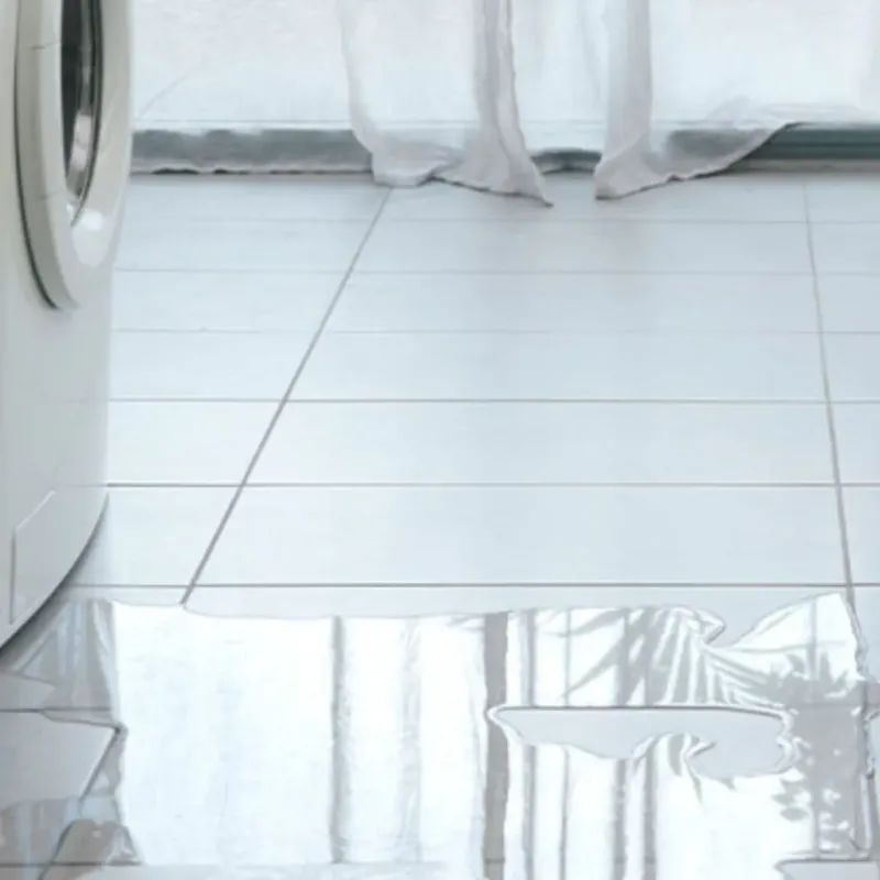 Appliance Leak Cleanup in Saukville, WI