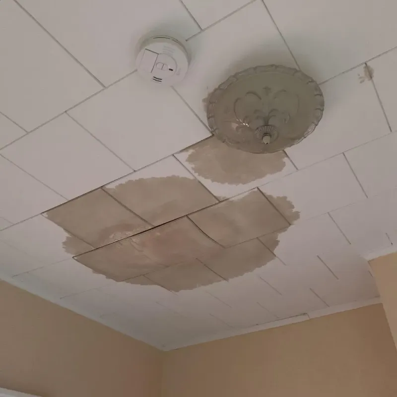 Ceiling Water Damage Repair in Saukville, WI