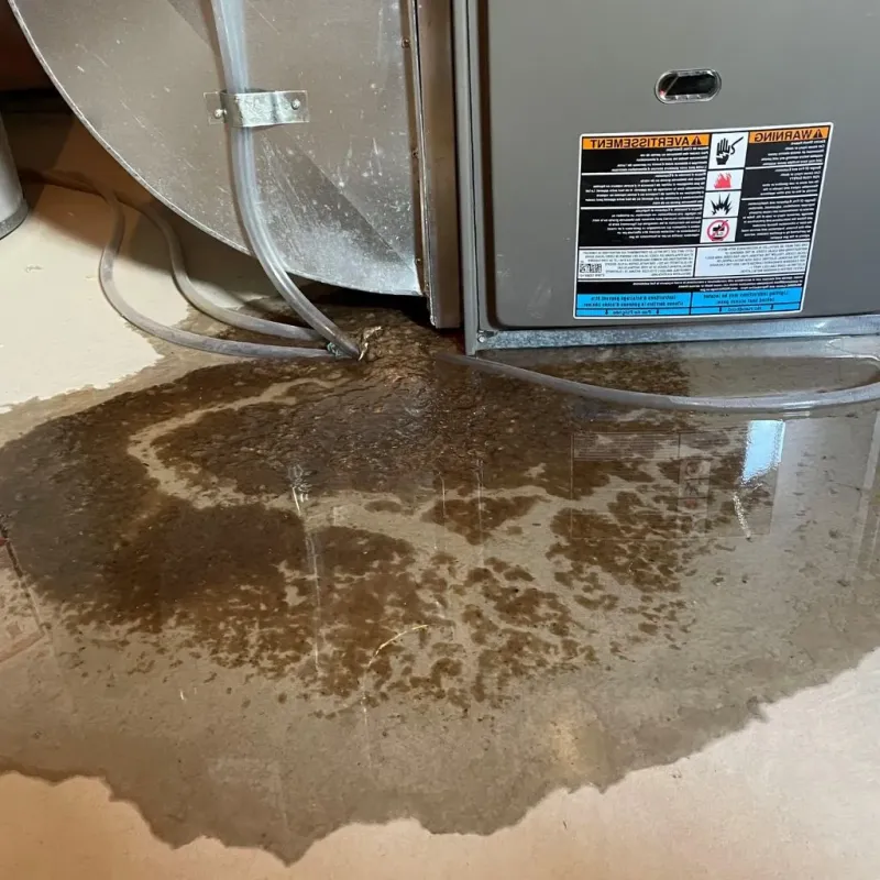 Pipe Burst and Leak Restoration in Saukville, WI